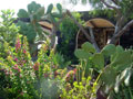 il giardino della Villa a pantelleria