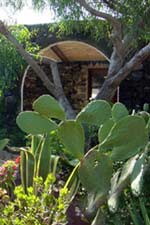 giardino Villa Pantelleria